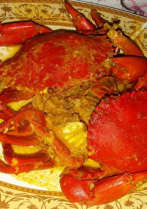 Foto resep Kepiting saos kare (sedikit pedas)