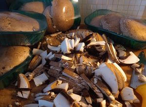 Foto di Funghi portobello trifolati