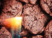 Una foto de keto cookies
