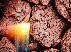 Una foto de Chocolate chip keto cookies