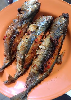 Foto resep Ikan kembung hamil di luar nikah
