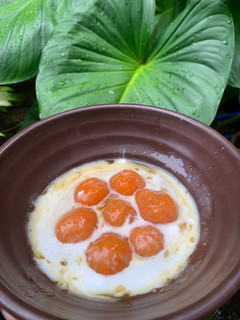 Foto resep Kolak Biji Salak