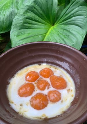 Foto resep Kolak Biji Salak