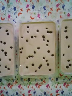 Foto resep Es krim Coklat Chocochip