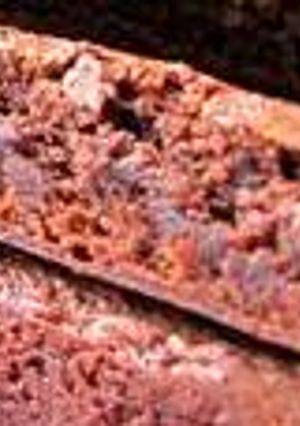 A picture of American Brownie.
