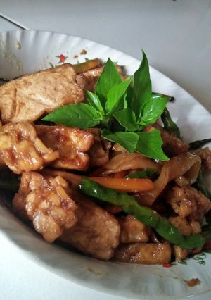 Foto resep Tahu tempe kecap kwetiaw