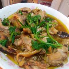 รูปของ Steam ayam jamur🍄 saus tiram