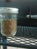 BBQ Chicken Rub Mix