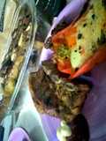 Morrón relleno primavera asado o al horno