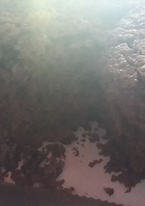 Una foto de Chocotorta
