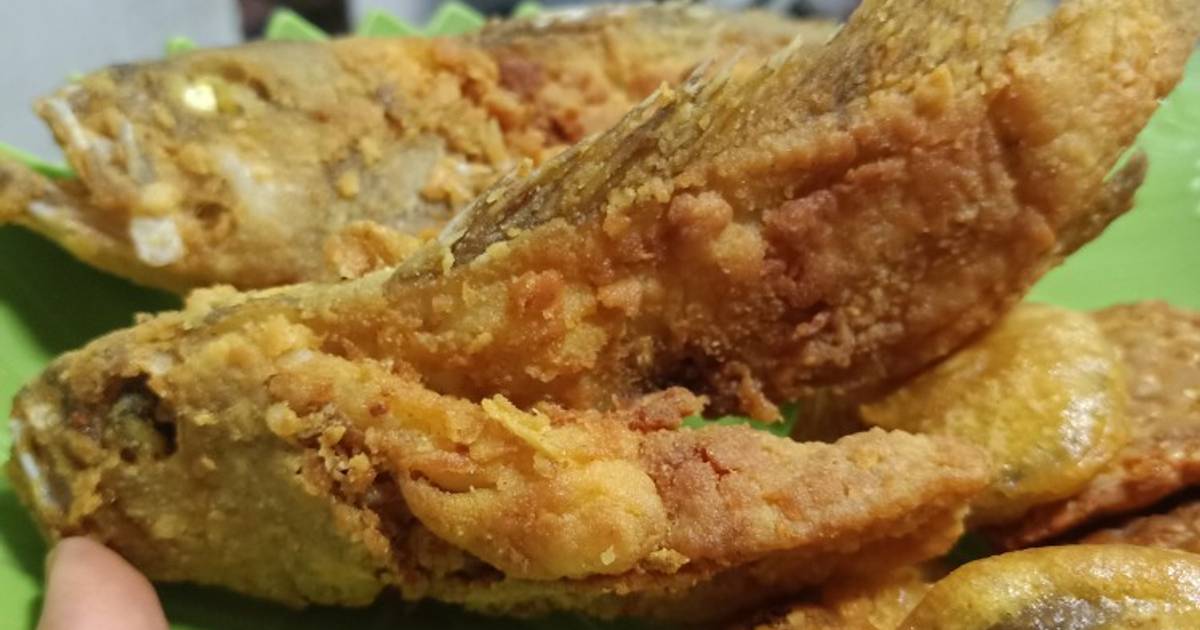 745 resep ikan kerapu enak dan sederhana - Cookpad