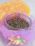 Papaya pappercone (merica biji pepaya)
