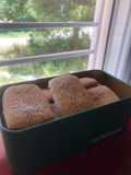 Galletas Napolitanas