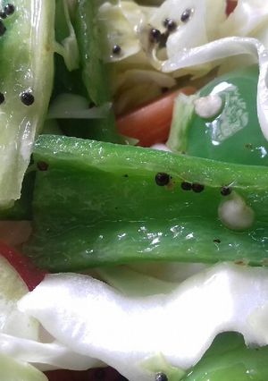 સલાડ (Salad Recipe in Gujarati) રેસીપી મુખ્ય ફોટો
