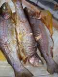 Trucha al horno