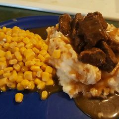 A picture of Venison Tips & Gravy.