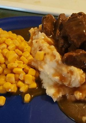 A picture of Venison Tips & Gravy.