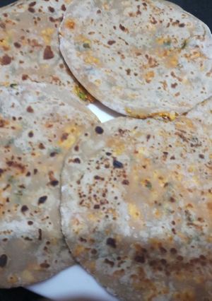 पनीर पराठा (Paneer Paratha Recipe In Marathi) रेसिपी चे मुख्य फोटो