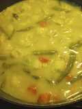 Chicken Vegetable Stew with Dumplings