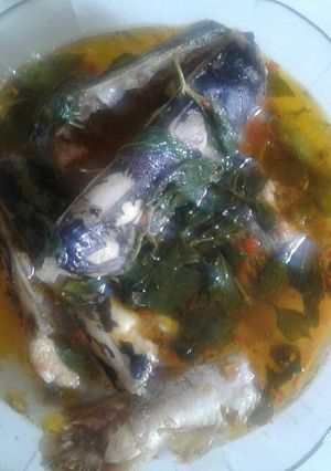 Foto resep Pindang pathin kemangi segar