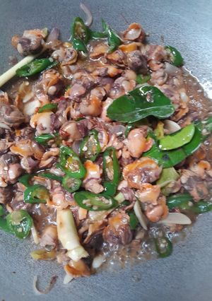 Foto resep Tumis kerang cabe ijo