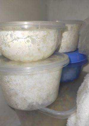 Foto resep Tips simpan nasi putih