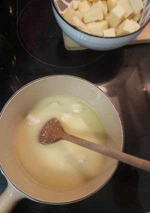 A picture of Savoyard Fondue.