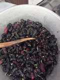 Jalea/ mermelada de moras