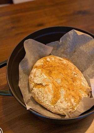 A picture of Dutch oven bread 🥖.