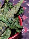 Chips de kale