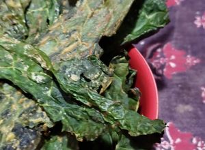 Una foto de Chips de kale