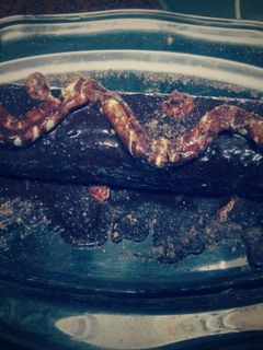 صورة لوصفة سويسرول شوكولاته