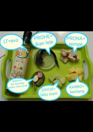Foto resep Mpasi 6M8D ikan lele