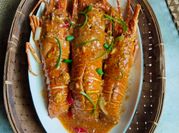 Gambar lobster saus padang