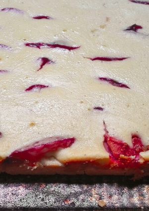 Una foto de Cuadrados de ciruela y queso