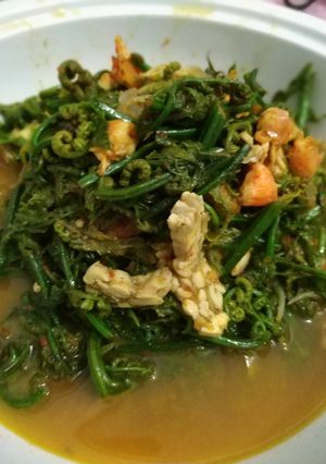 Foto resep Tumis pakis + tempe
