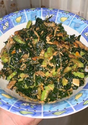 Foto resep Oseng pare daun pepaya mix teri