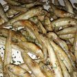 Pejerreys fritos