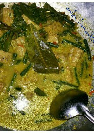 Foto resep Gulai Kacang Panjang Tempe