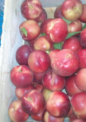 Una foto de Cascos de durazno en almíbar