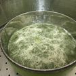 Green Tea Cheese Steam Brownies