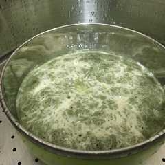 Green Tea Cheese Steam Brownies রেসিপির প্রধান ছবি