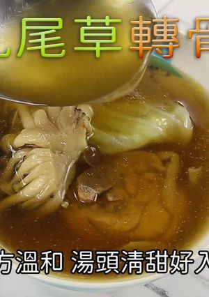 【九尾草轉骨雞湯】成長必備男孩女孩都適合 的食譜成品照片