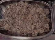 Una foto de trufas de oreo