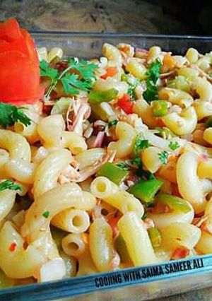 A picture of Chicken veg macaronis #ramadankitayari.