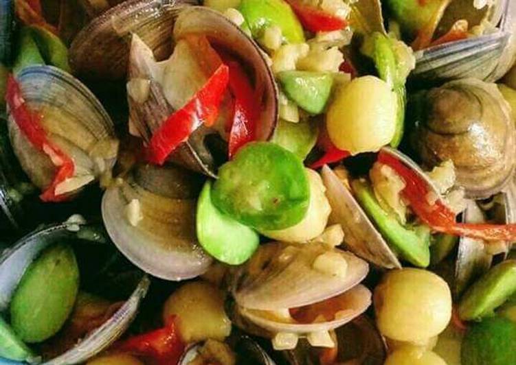 Bahan Kerang bumbu cabe | Cara Mengolah Kerang bumbu cabe Yang Enak Dan Mudah