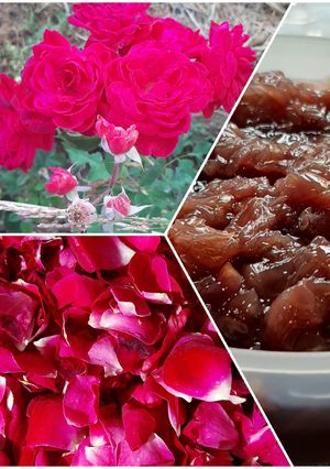 عکسی از دستور مربای گل سرخ🌹