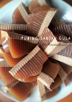 Foto resep Puding Santan Gula Merah