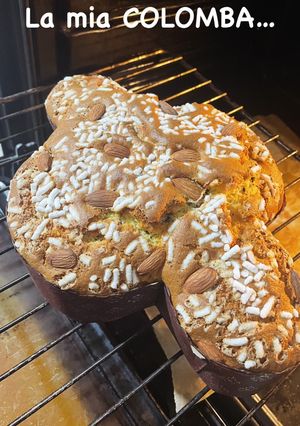 Foto di La mia Colomba (ricetta senza lievitazione)