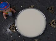 A picture of agar agar recipes with condensed milk